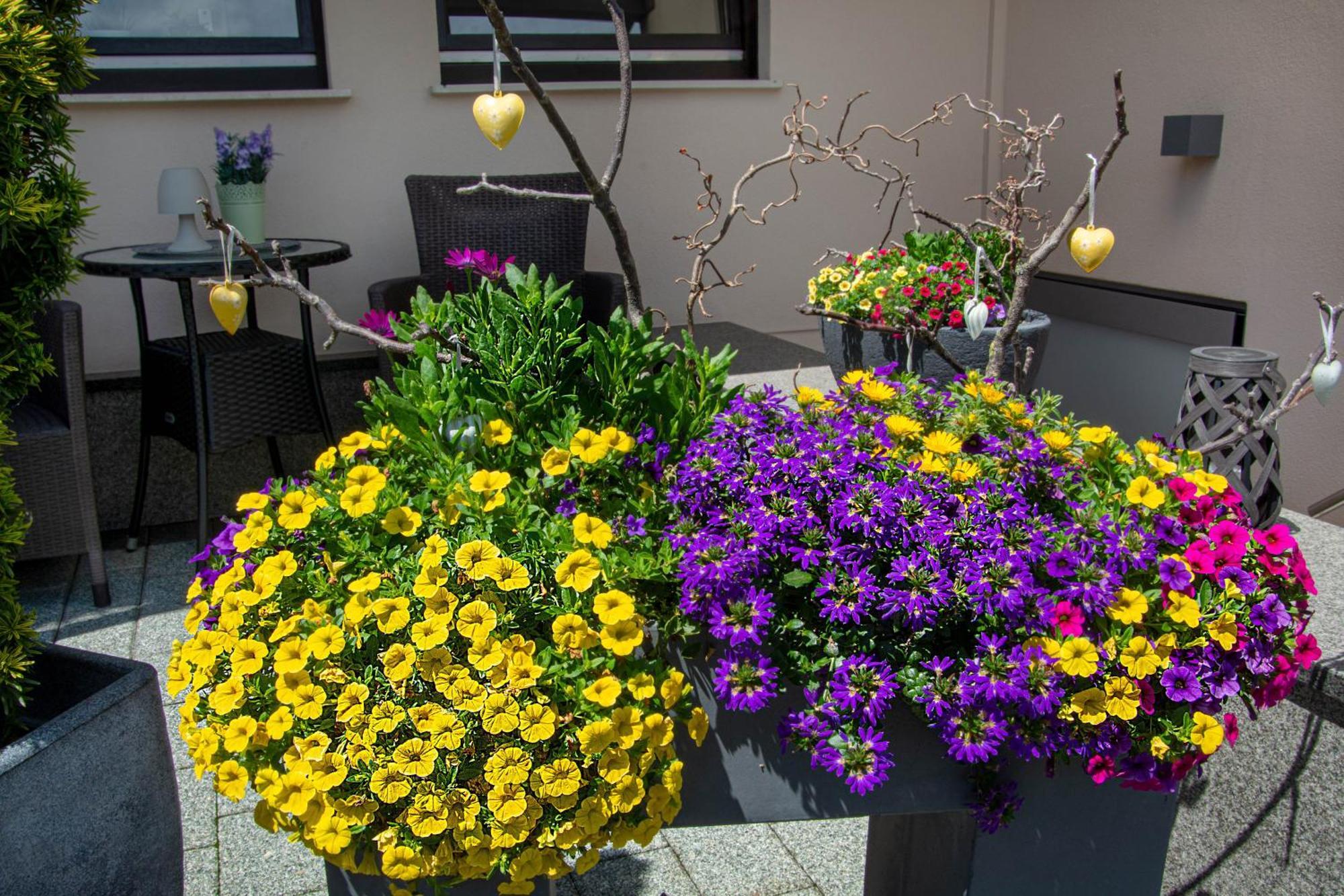 Ferien Wohnung Weinheim - Die Fewo I.D. Nordstadt Экстерьер фото